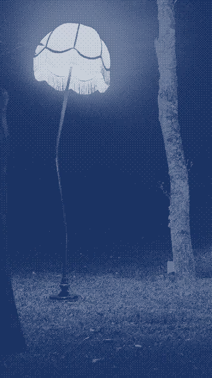 A Calf, a Square, a Flower