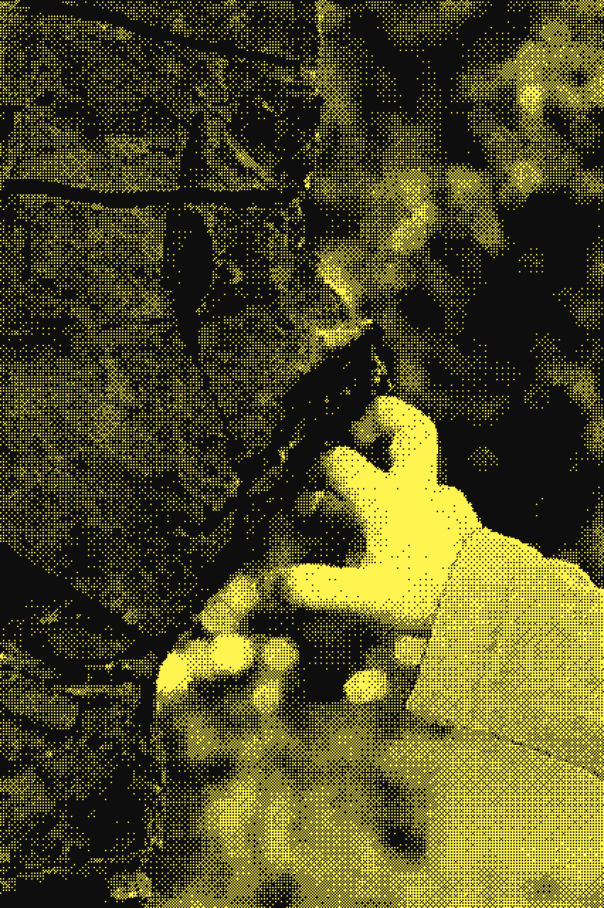 SONGSMITH (THE GREAT KAROO)