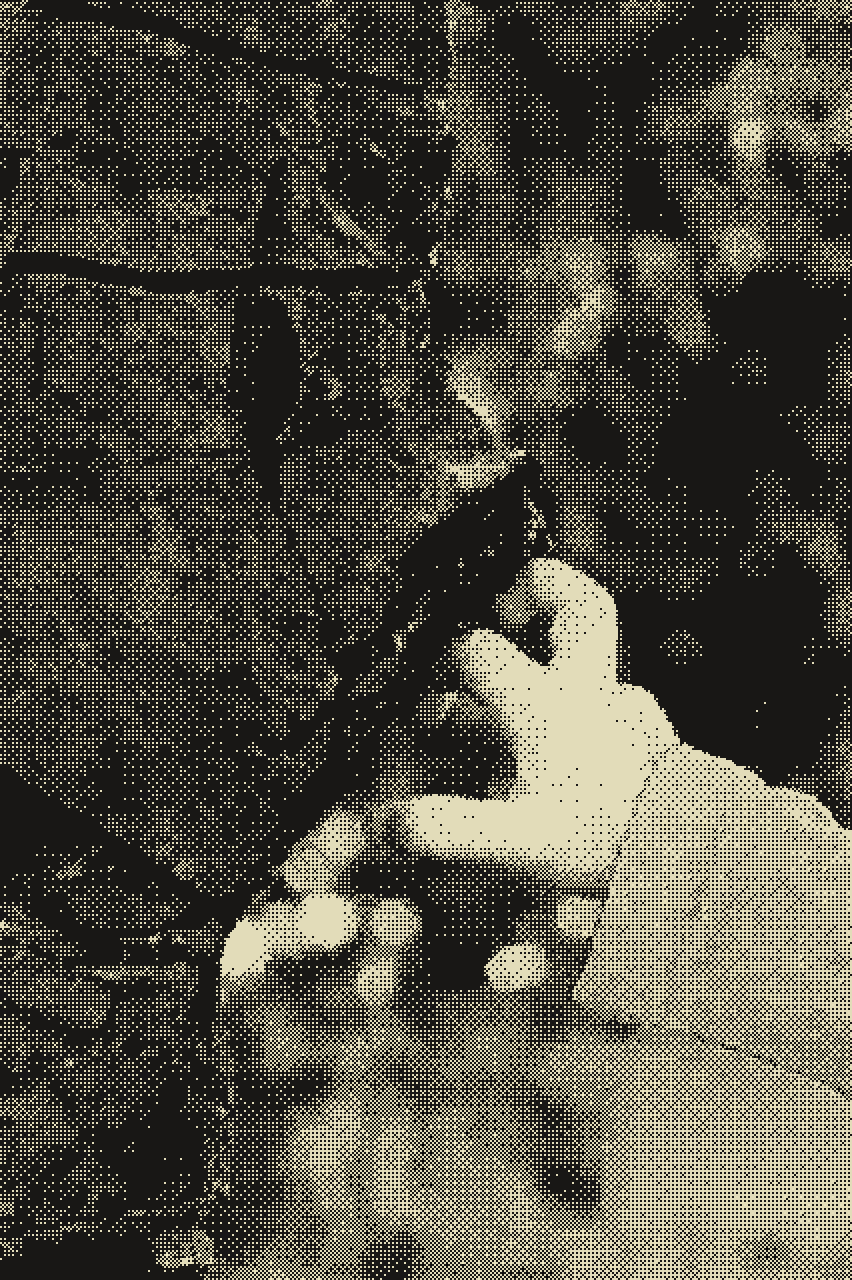 SONGSMITH (THE GREAT KAROO)