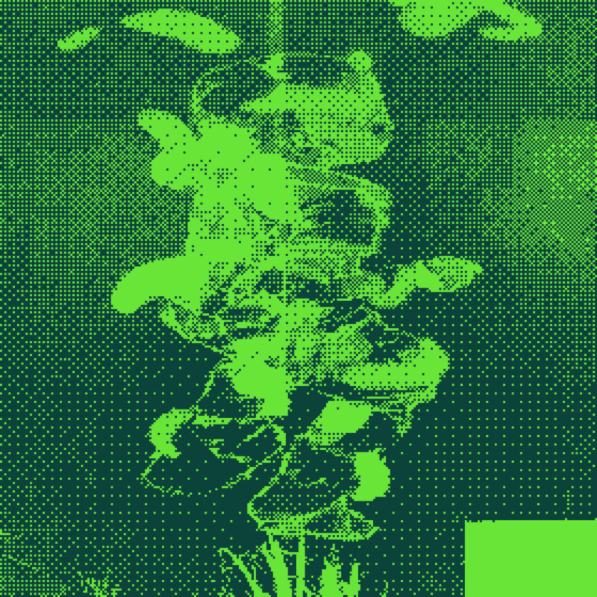 Fiddlearth