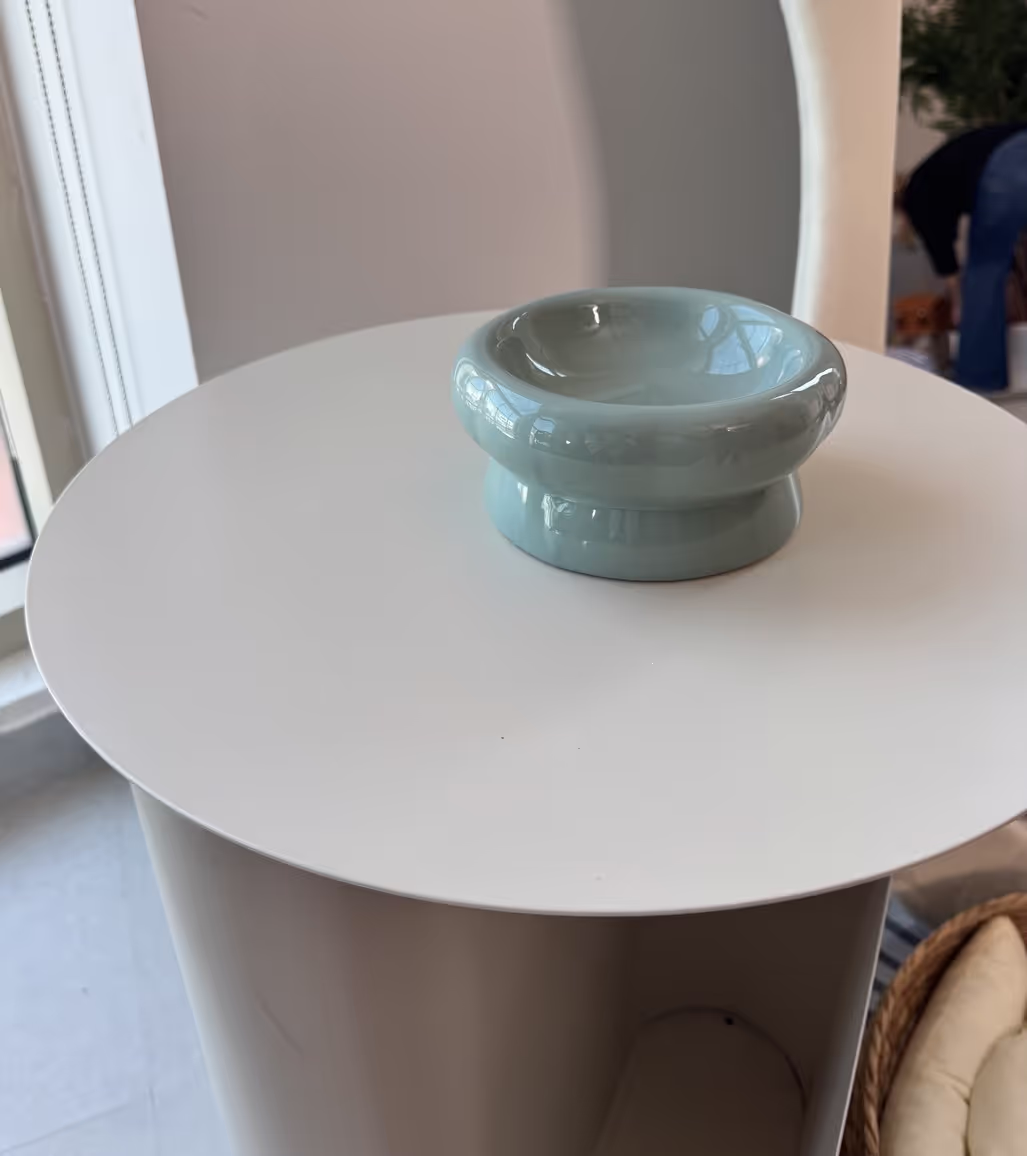Elegant ceramic pet bowls for Dubai's pampered pets. Durable, stylish, customizable sizes. Food or water. Luxury dining for furry friends. 3-day delivery.