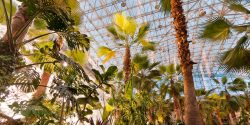 Howl2GO at The Crystal Gardens at Navy Pier