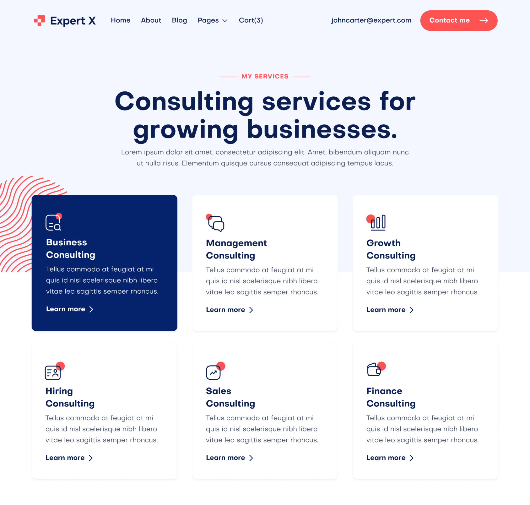 Expert X - Services Top Page - Business Coach Webflow Template