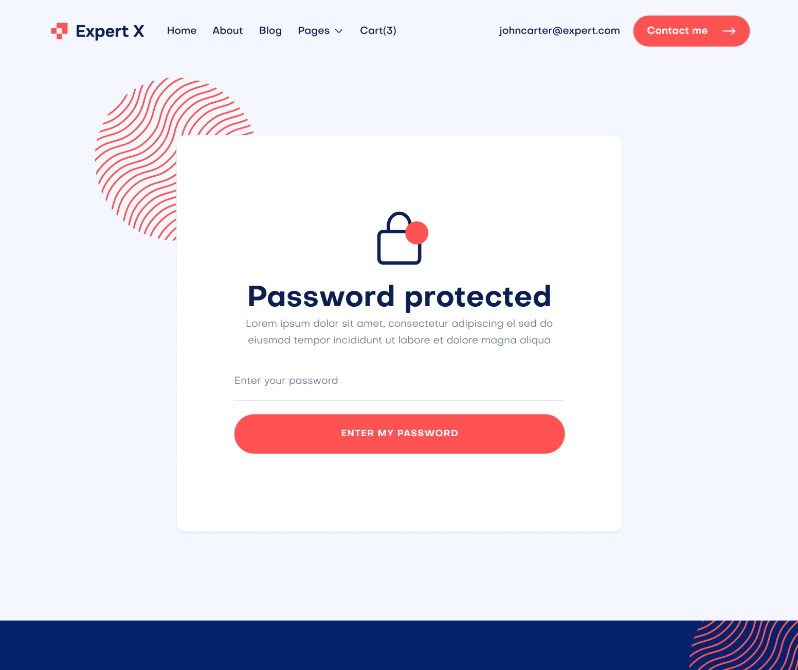 Expert X - Password Page - Business Coach Webflow Template