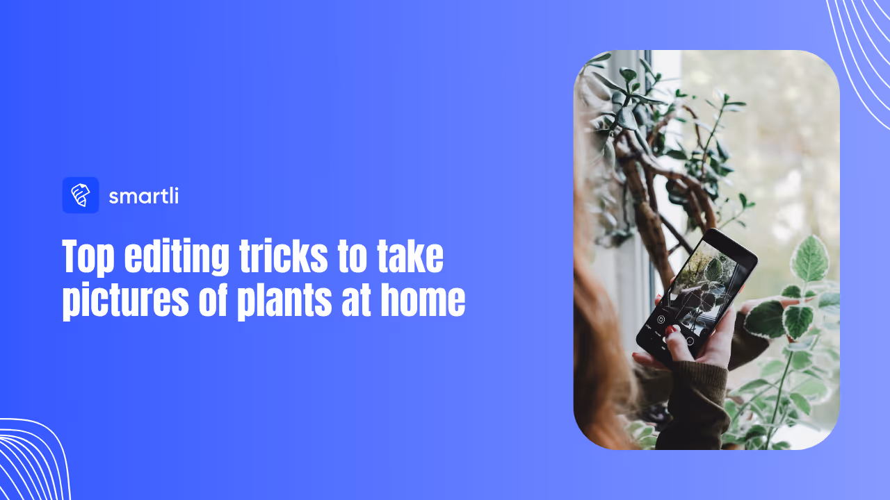 Top Editing Tricks to Take Pictures of Plants at Home