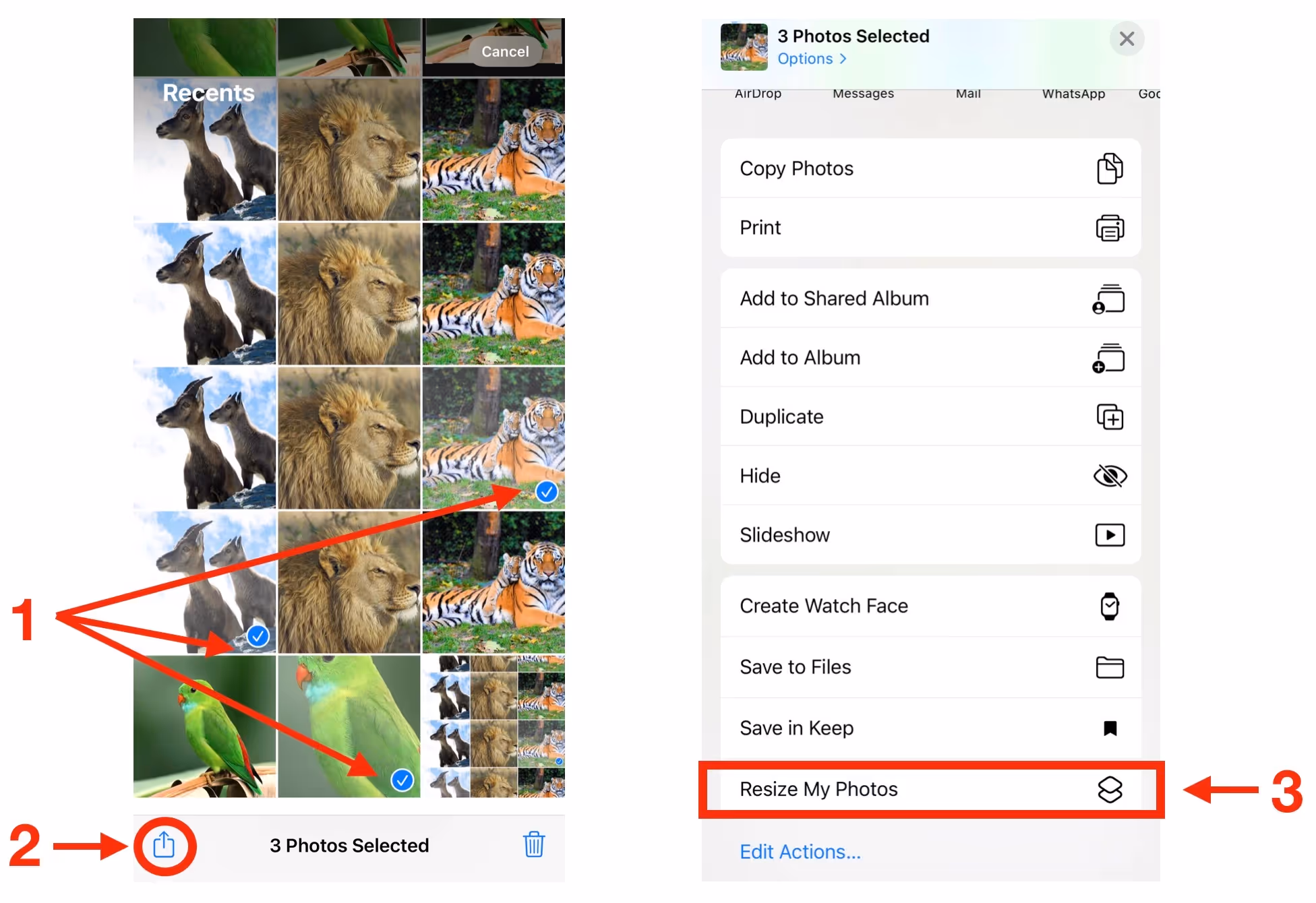 resize images on iPhone