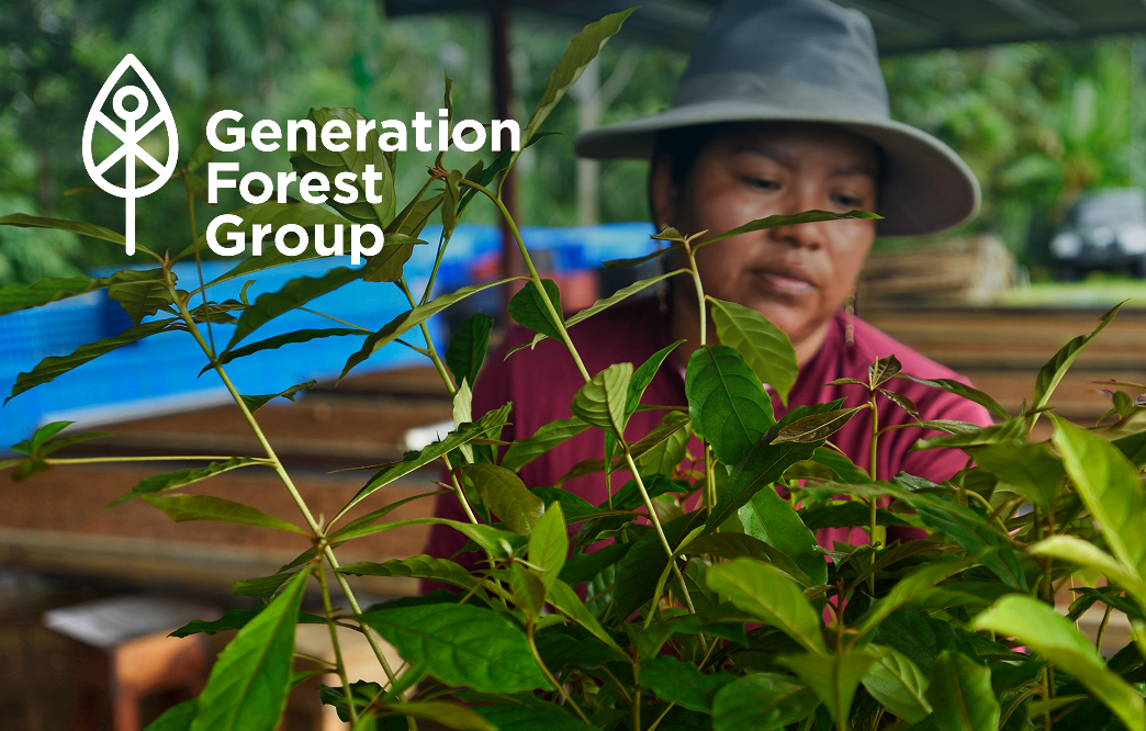 Restoring the Rainforest