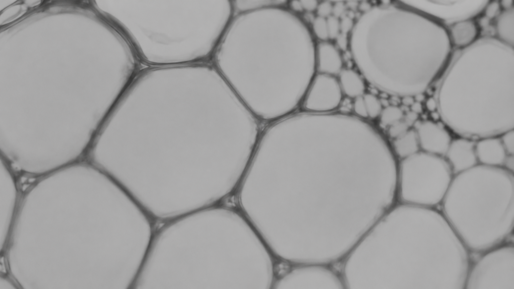 Close up of healthy skin
