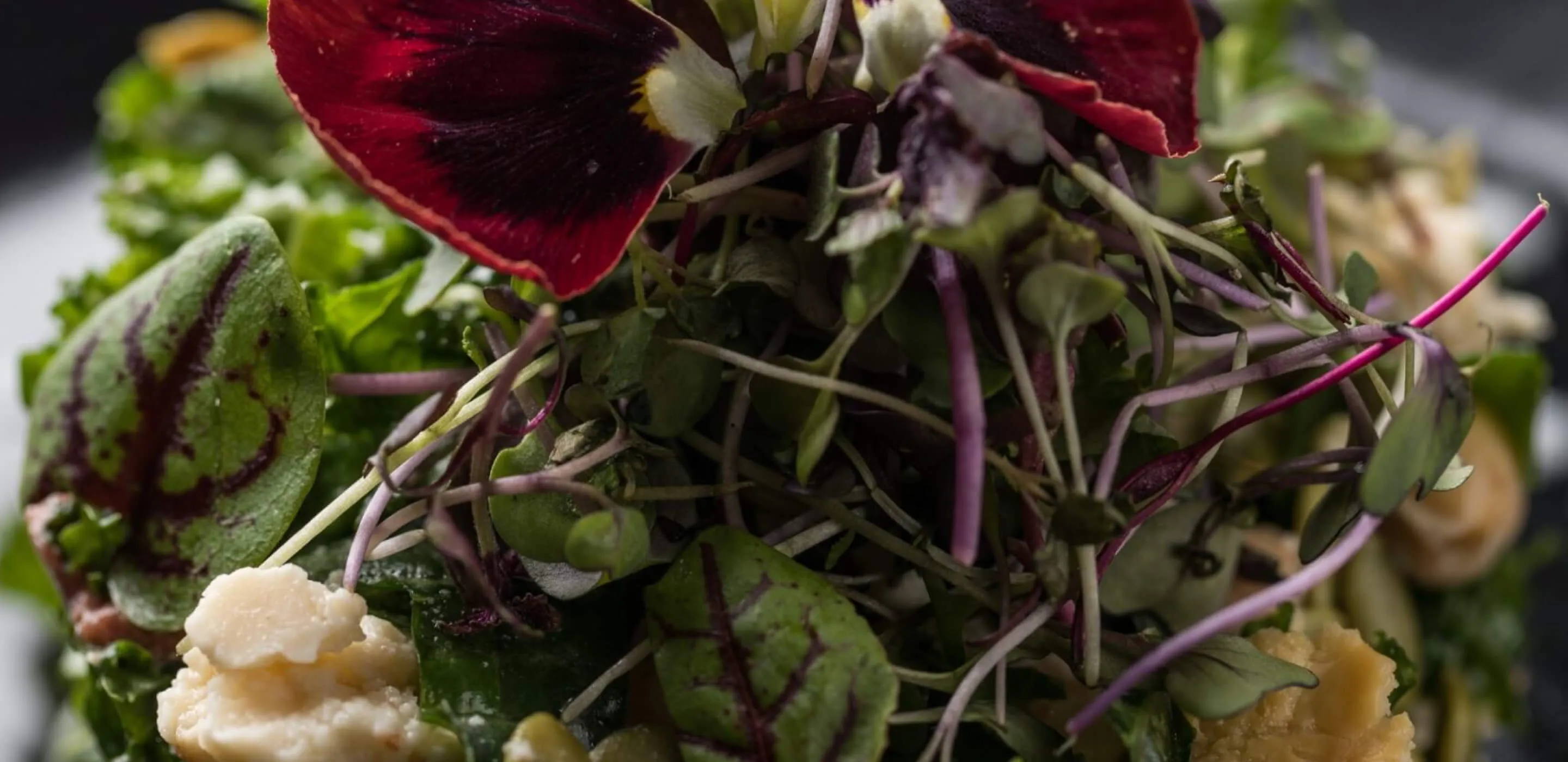 Close-up of a fresh salad with mixed greens, microgreens, edible red and yellow flowers, and crumbled cheese.