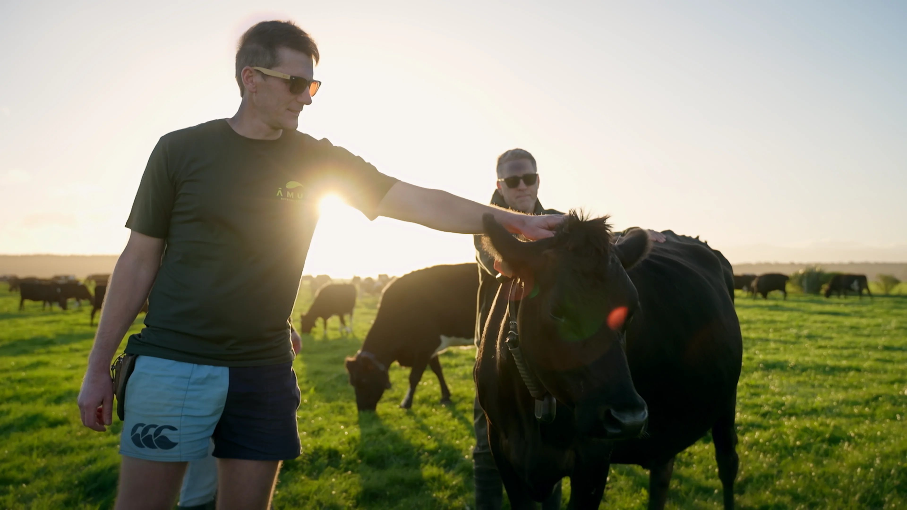 Three people standing on green pasture with a large herd of black and brown cows under a cloudy sky.