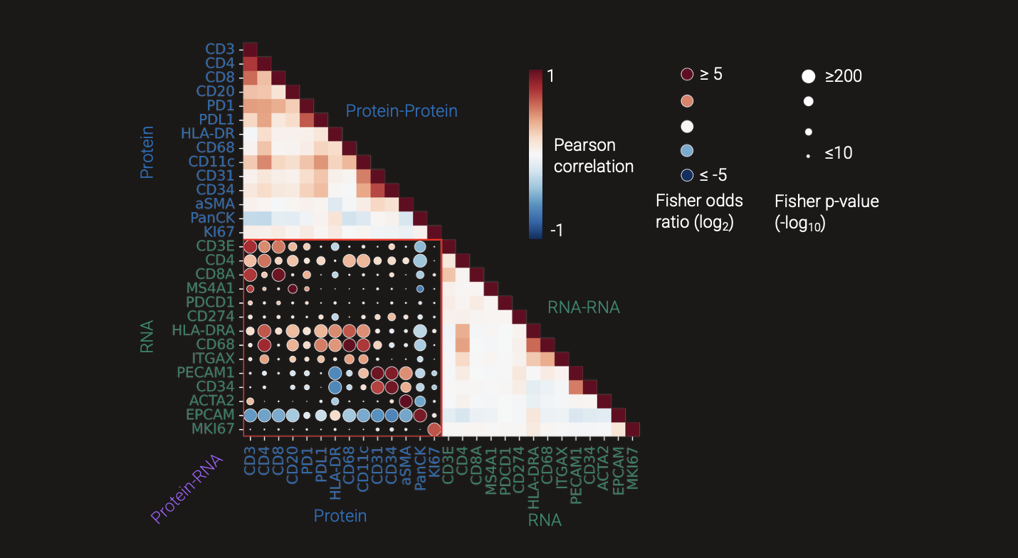 Correlation visualization