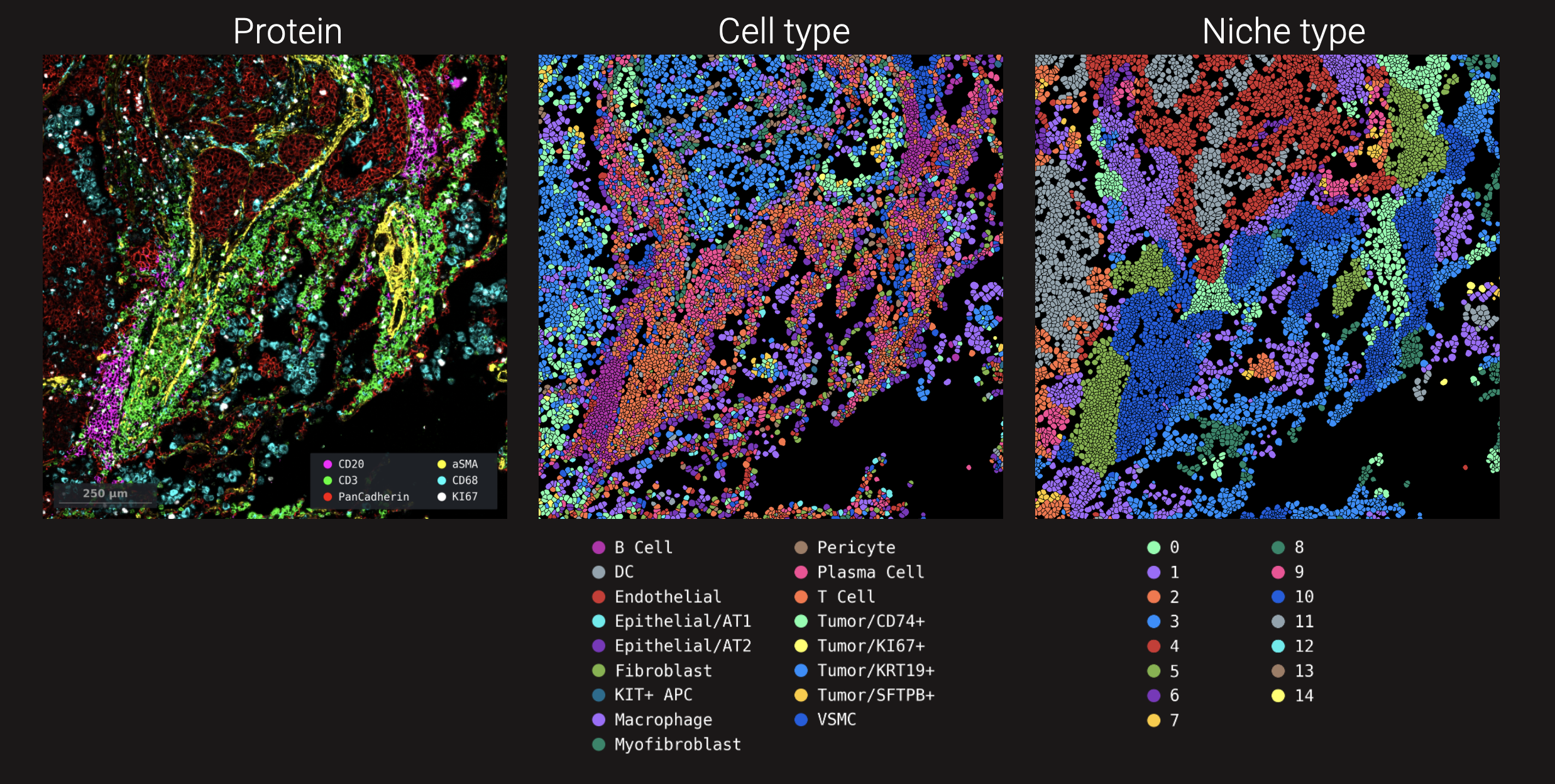 Insights visualization