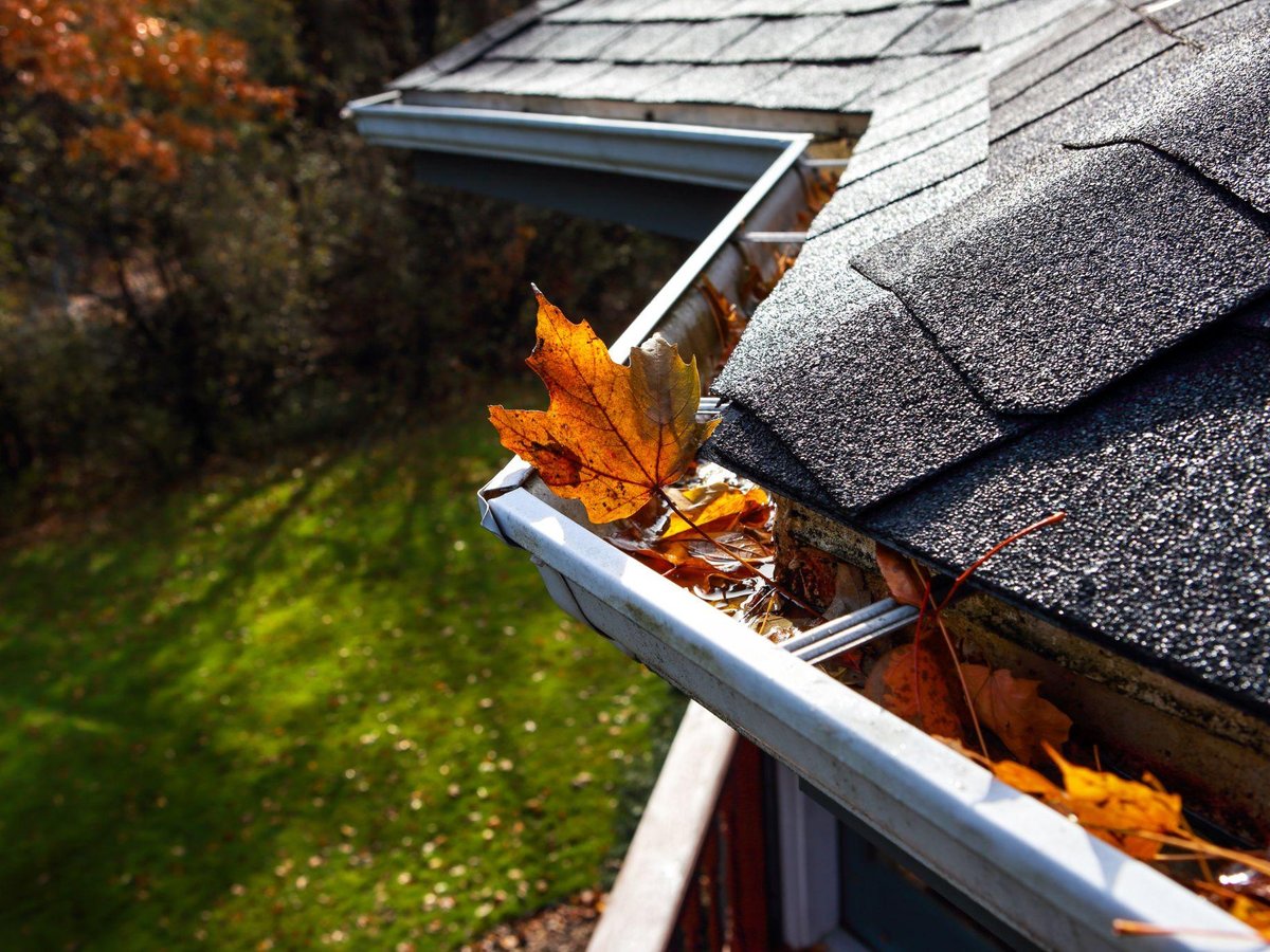 eavestrough full of fall leaves in barrie