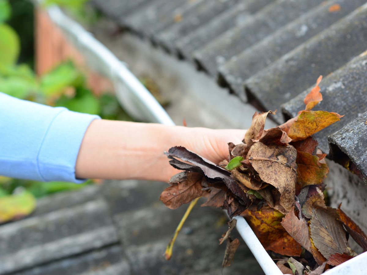 Gutter Guards vs. Regular Cleaning: A Cost Comparison for Homeowners