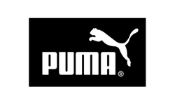 Puma logo with white leaping cat and text on black background
