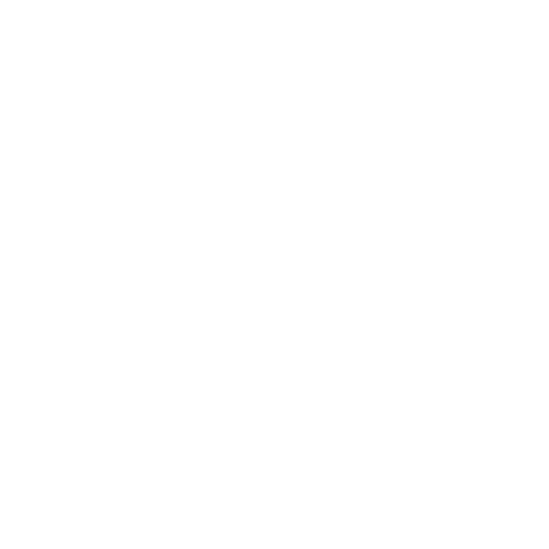 Facebook icon white