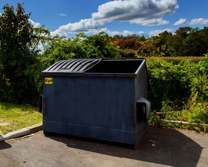Service image