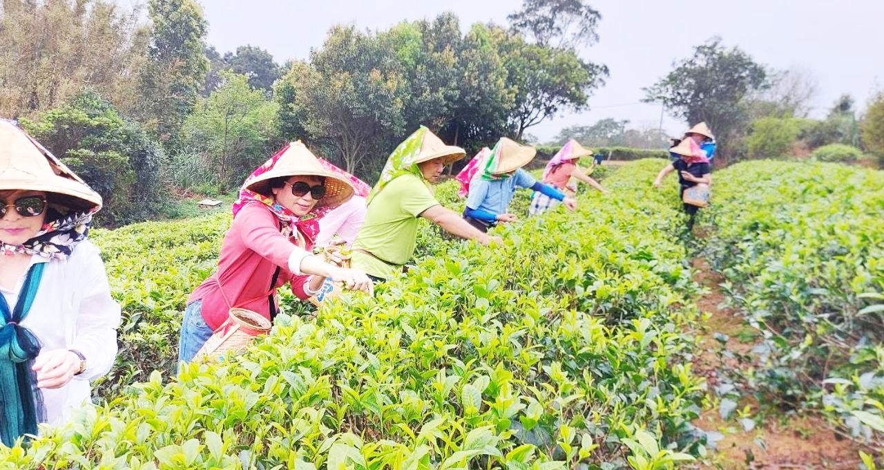 福源茶廠