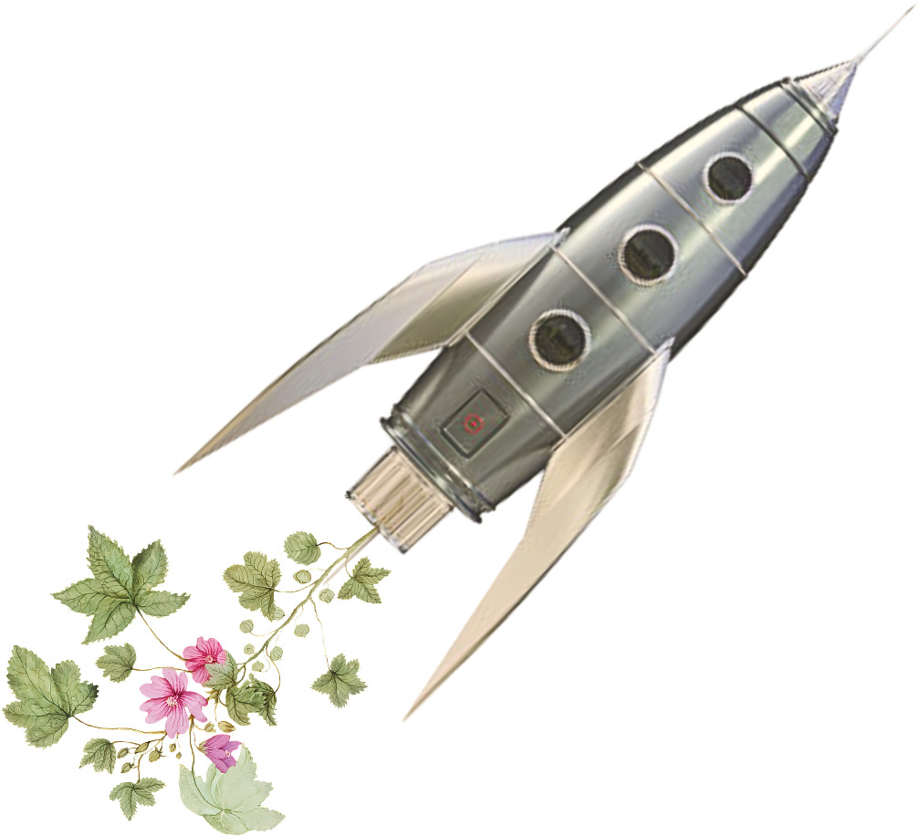 Retro-style silver rocket emitting pink flowers and green leaves from its engine.