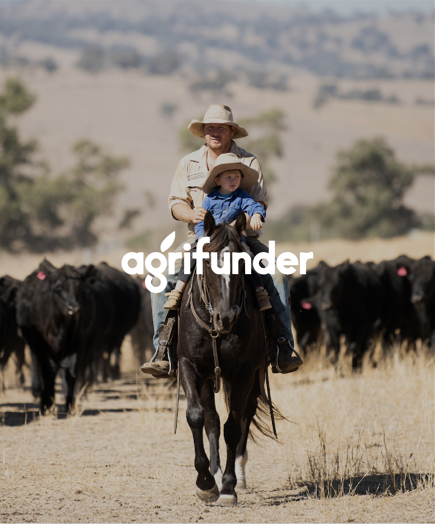AgriFunder livestock finance website and Google Ads case study by Leed Agency