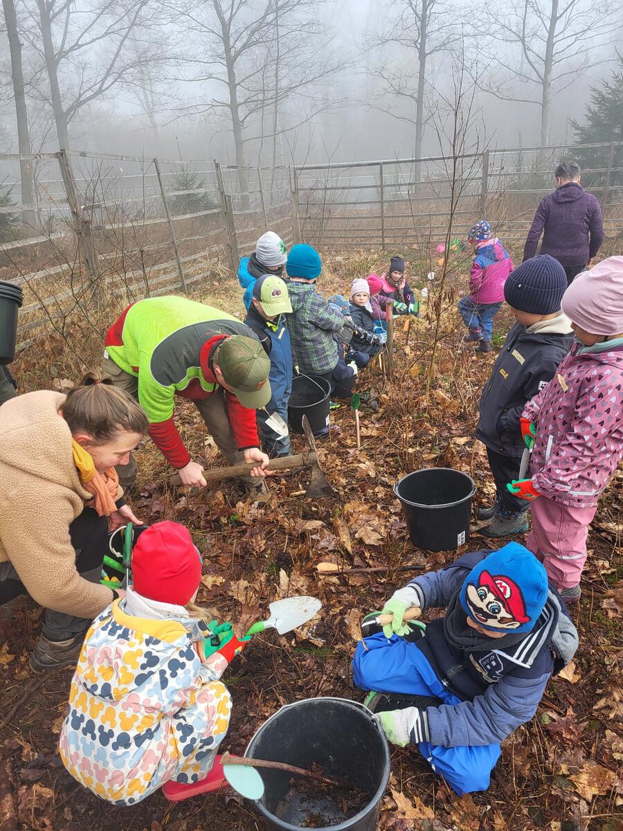 Bild vergrößern: Mehrere Kinder pflanzen einen Baum