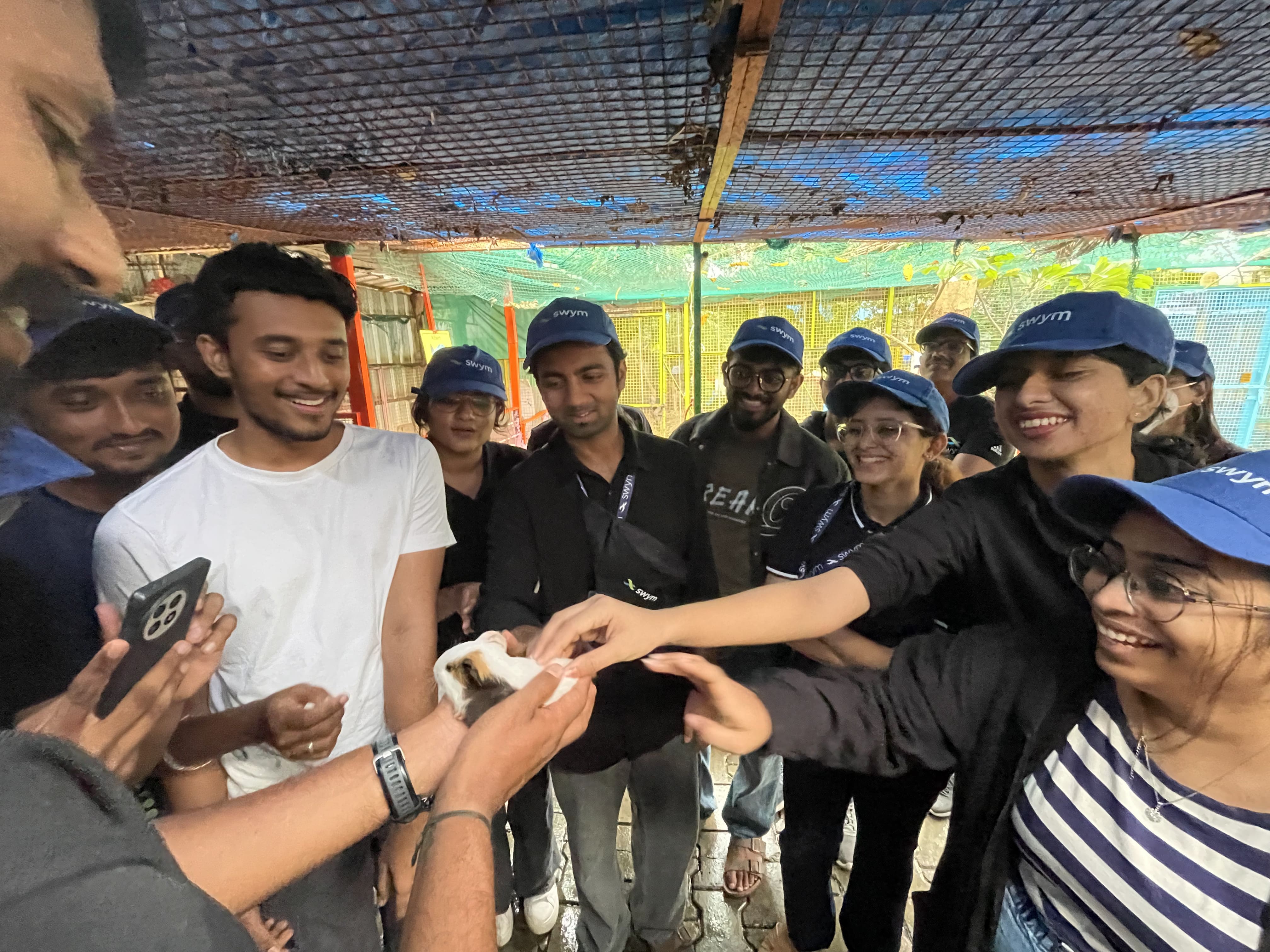 Group of smiling young adults wearing blue SWYM caps gathered around a small, white and brown guinea pig being gently held by one person while others reach out to pet it inside a sheltered area with metal wire roofing.
