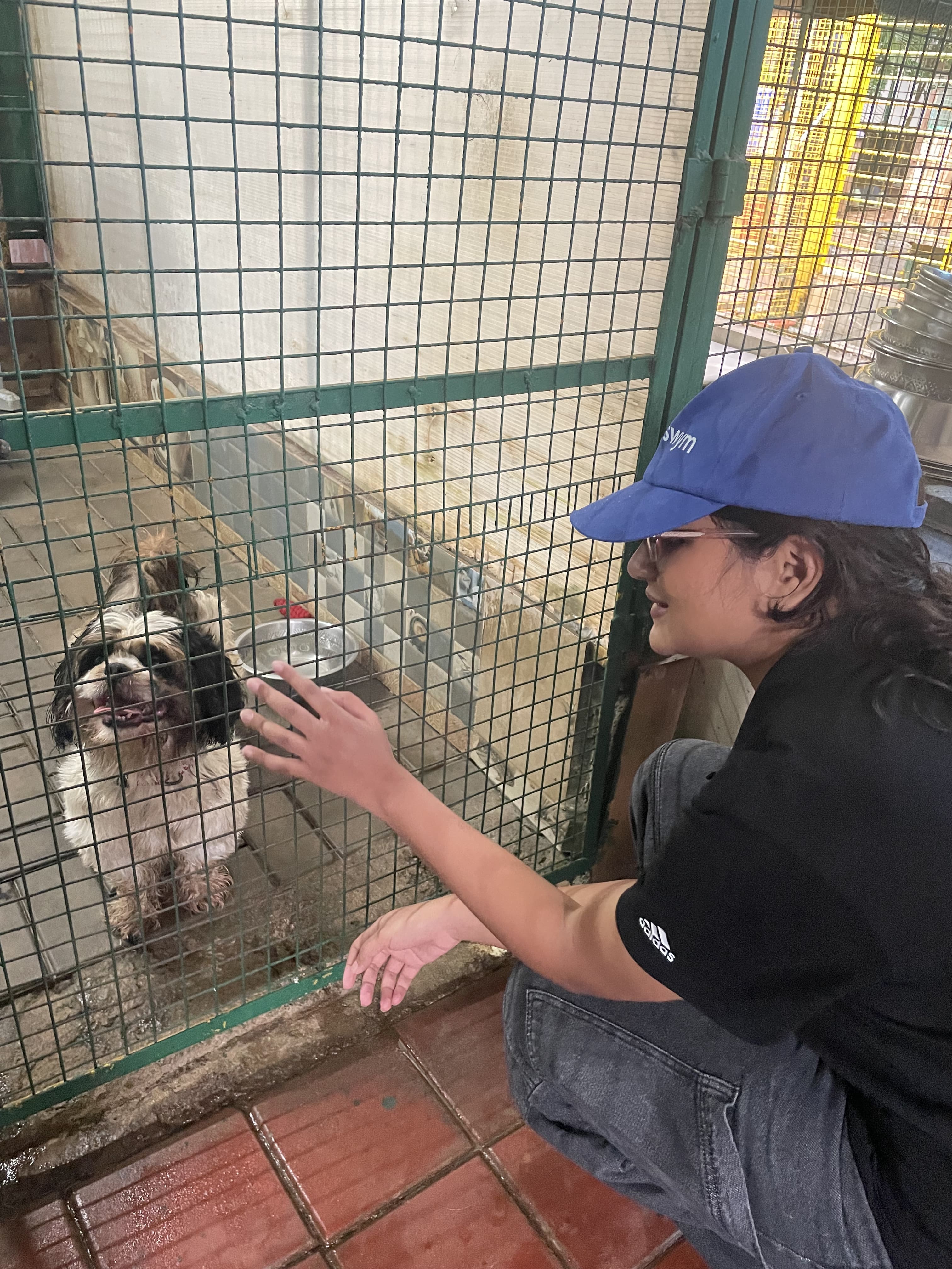 A woman wearing a blue cap, glasses, black Adidas t-shirt, and jeans crouches and reaches out her hand toward a small black and white dog behind a green wire fence inside a kennel.