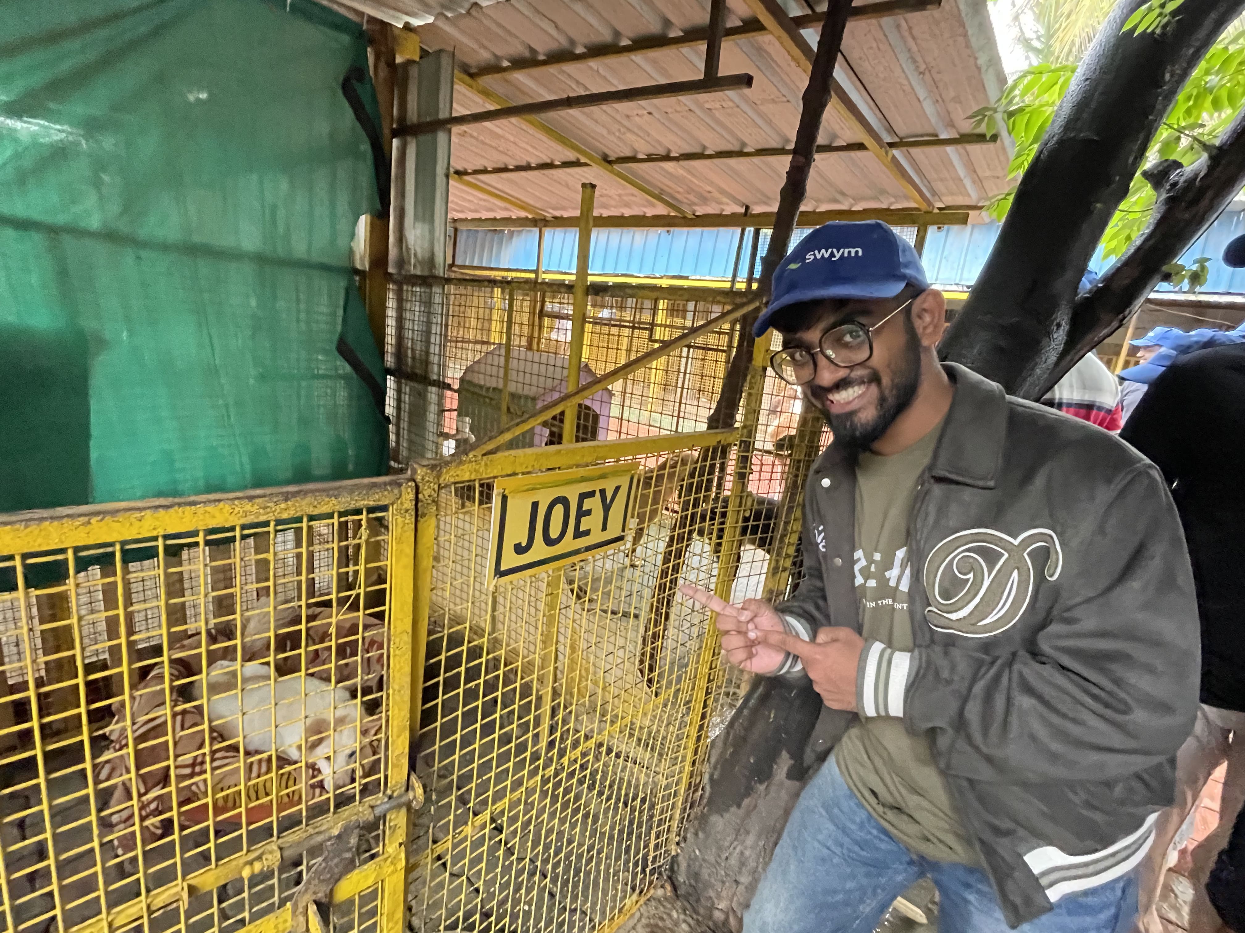 A man wearing glasses, a blue 'swym' cap, a dark jacket, and jeans is smiling and pointing to a yellow cage with a sign that says 'JOEY' containing a white animal lying on a striped blanket inside a covered enclosure.