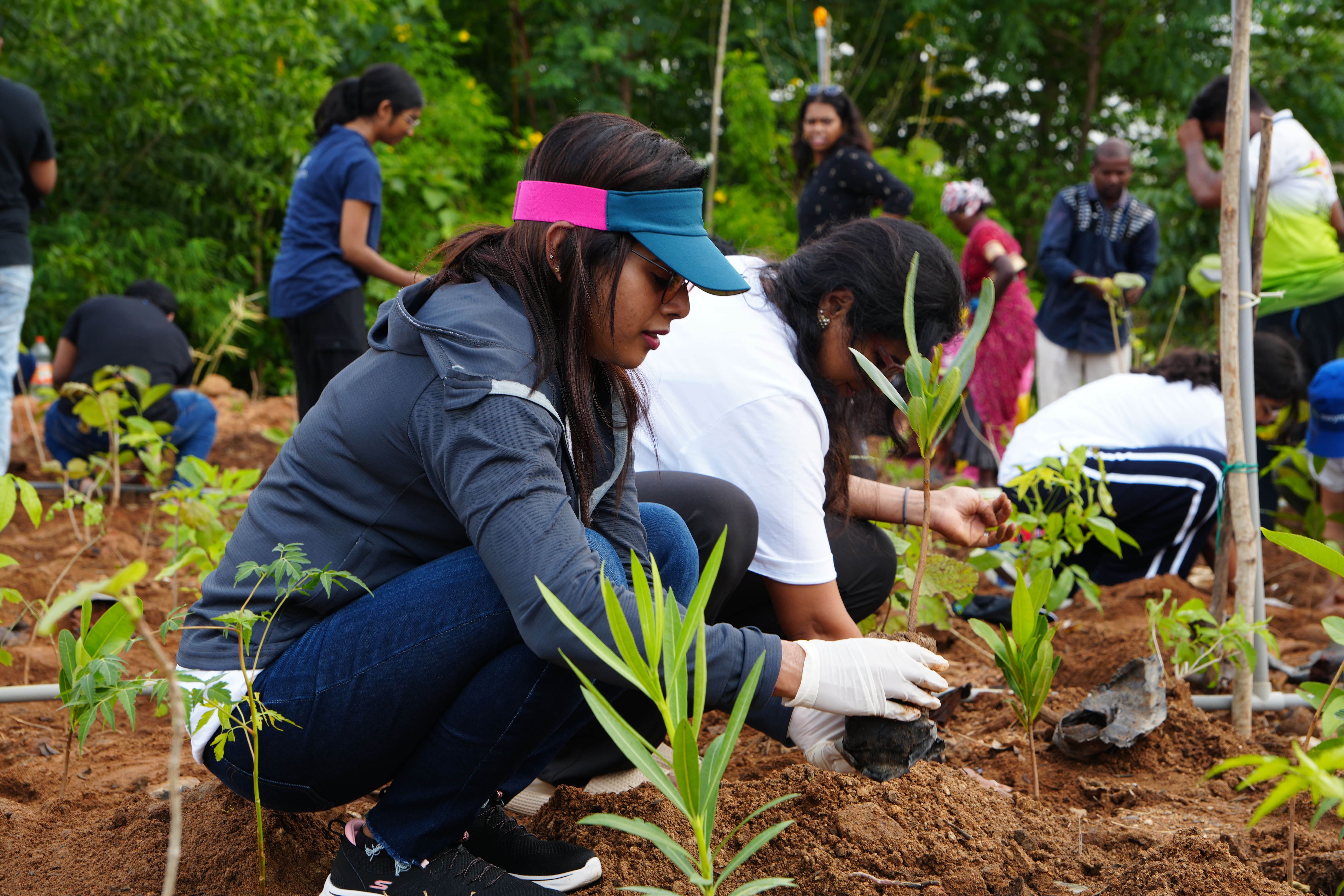 Several people outdoors planting young saplings in soil, with two women in the foreground focused on placing plants into the ground, surrounded by green trees and plants.
