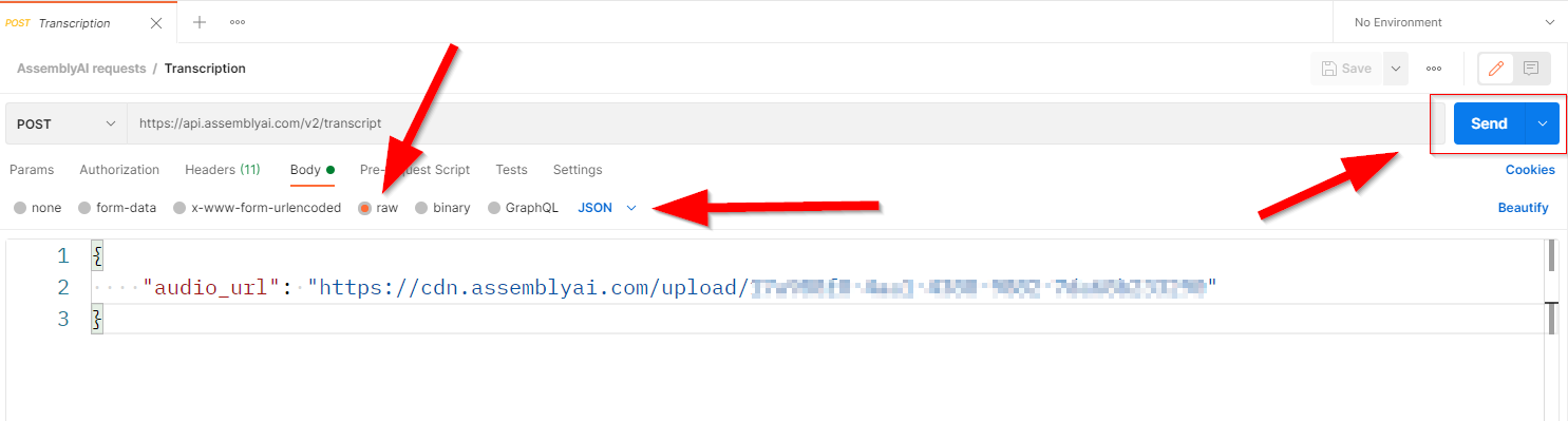 Screenshot showing transcription request body. Highlighting 'raw', 'JSON' and the send button