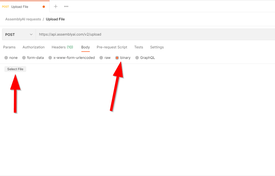 Screenshot showing the Body tab with "binary" selected and an arrow pointing to where the file selector is.
