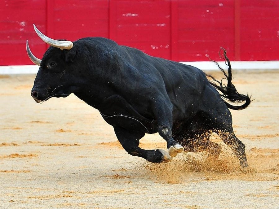 Bitcoin bull market