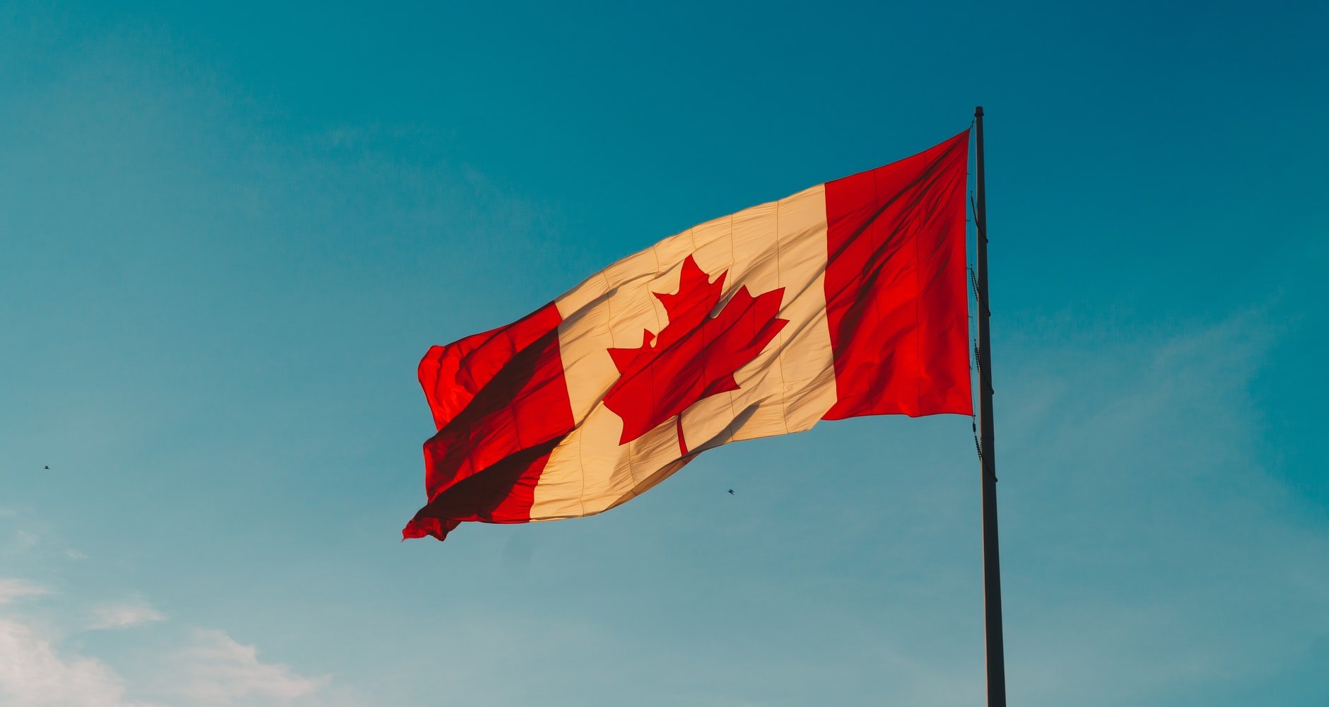 Michael Novogratz Says ‘Network Effect’ Will See Bitcoin At $85,000 Canadian Very Soon