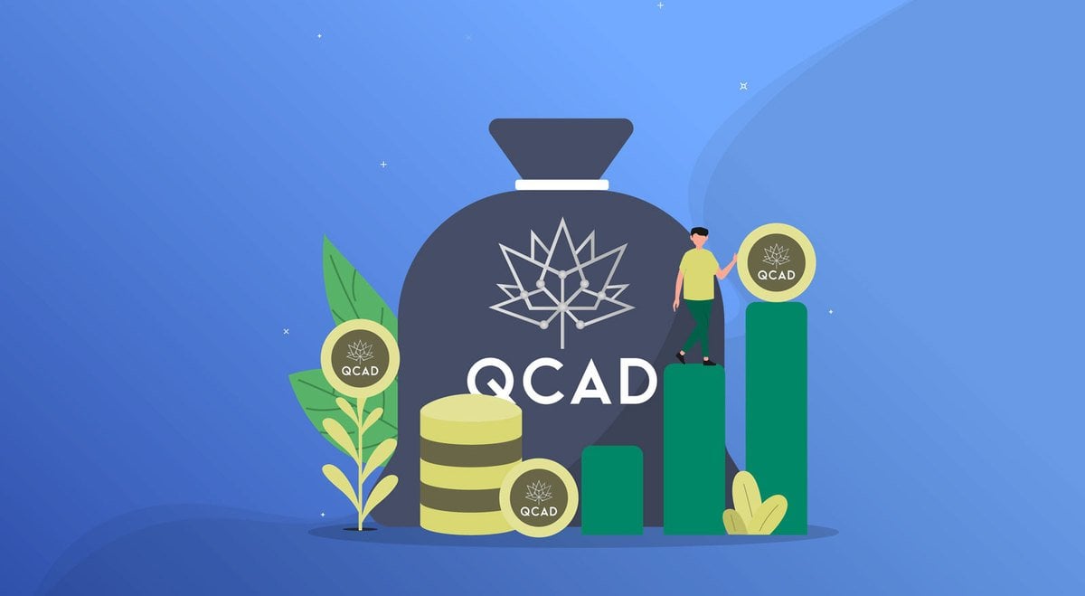 QCAD Stablecoin||||What is a stablecoin?