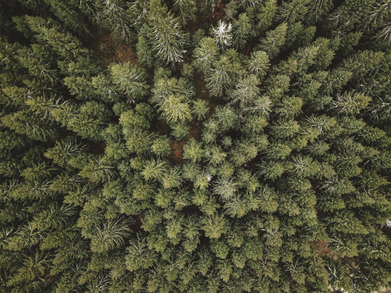 Is Bitcoin Mining Bad for the Environment?||Bitcoin Mining