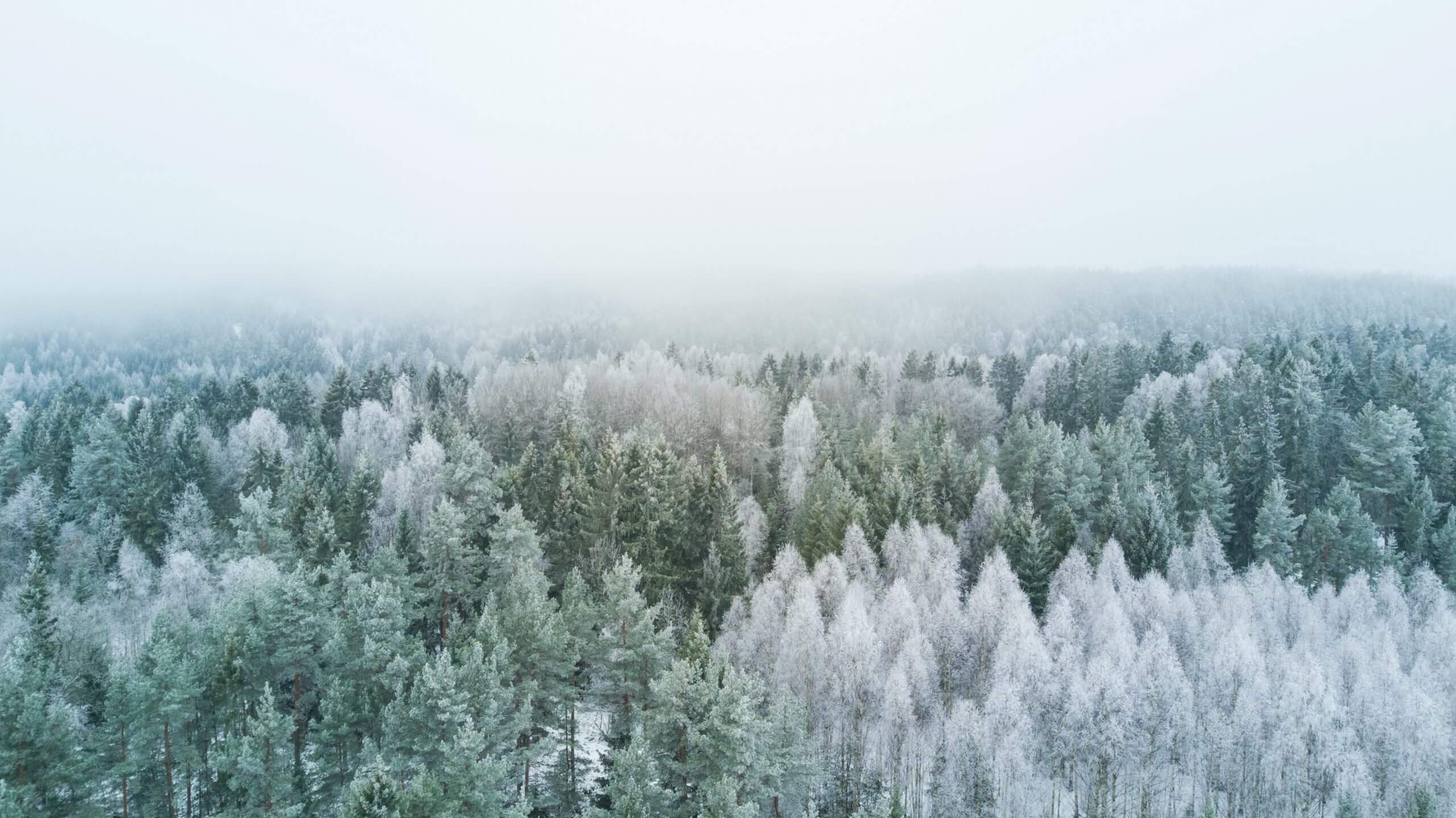 ||||Crypto Winter big letters spelling recession with white clouds behind||Image of crypto winter with cabin and beautiful mountains