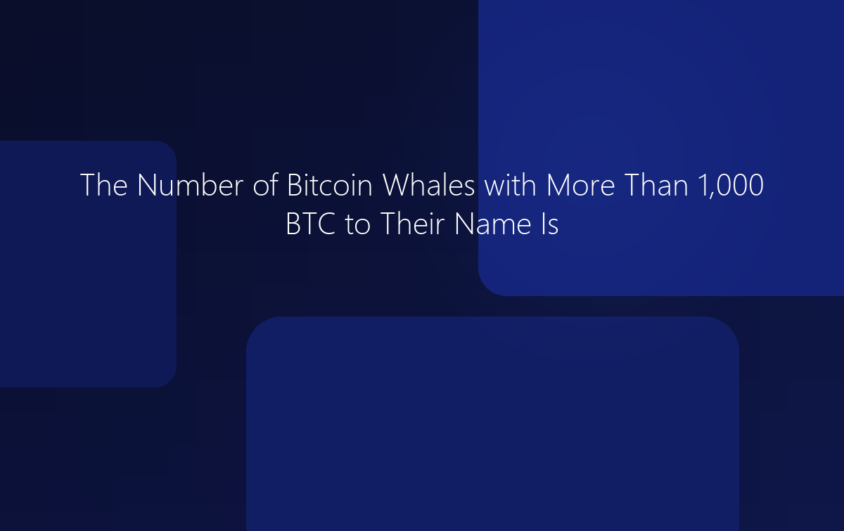 Bitcoin Whales with 1,000+ BTC Increasing Exponentially