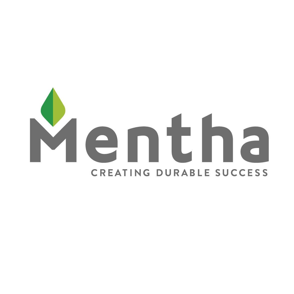 Mentha Capital Fund IV C.V.