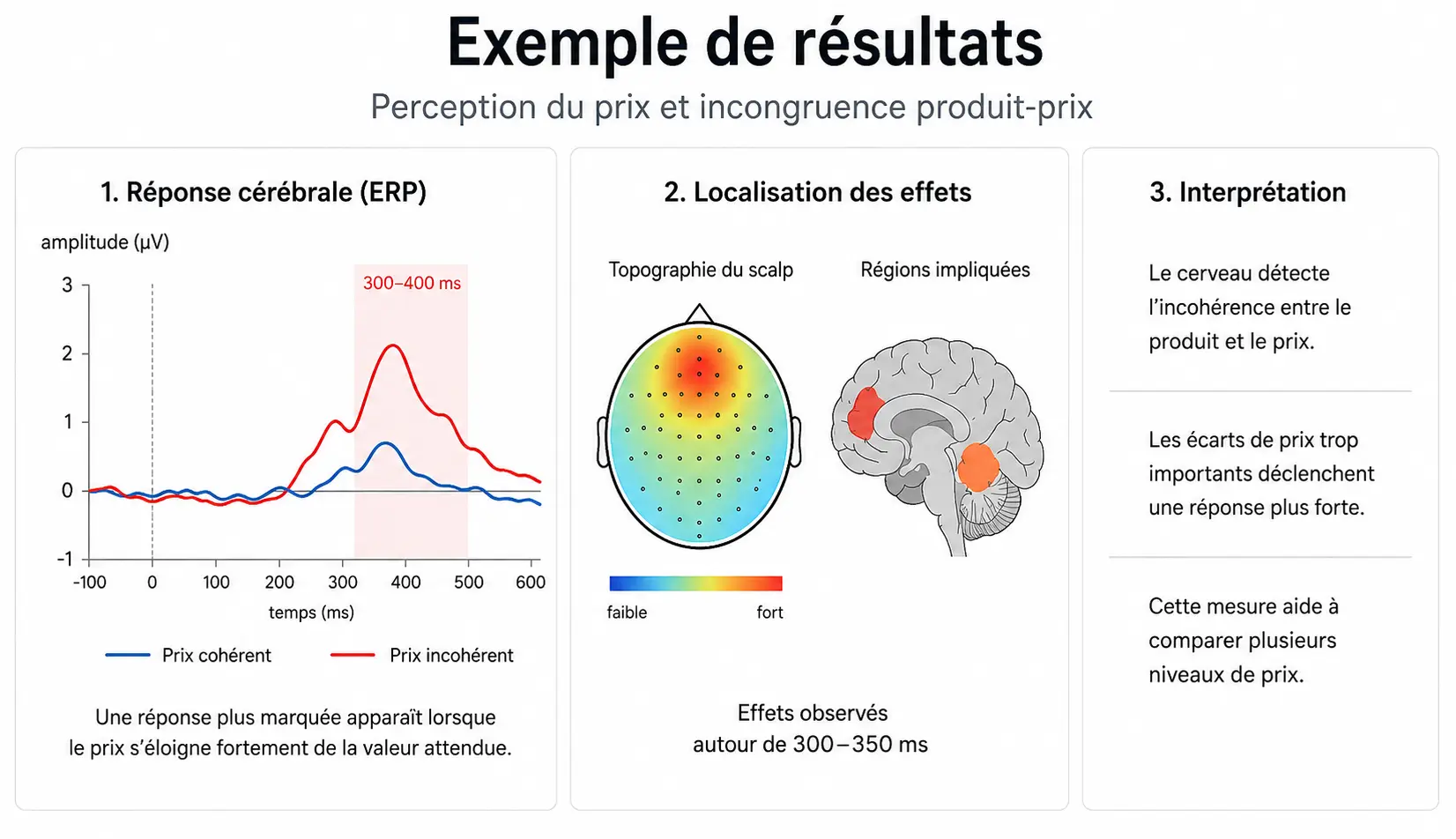 Exemple de restitution : réponse cérébrale comparée entre prix cohérent et prix incohérent, localisation des effets et interprétation