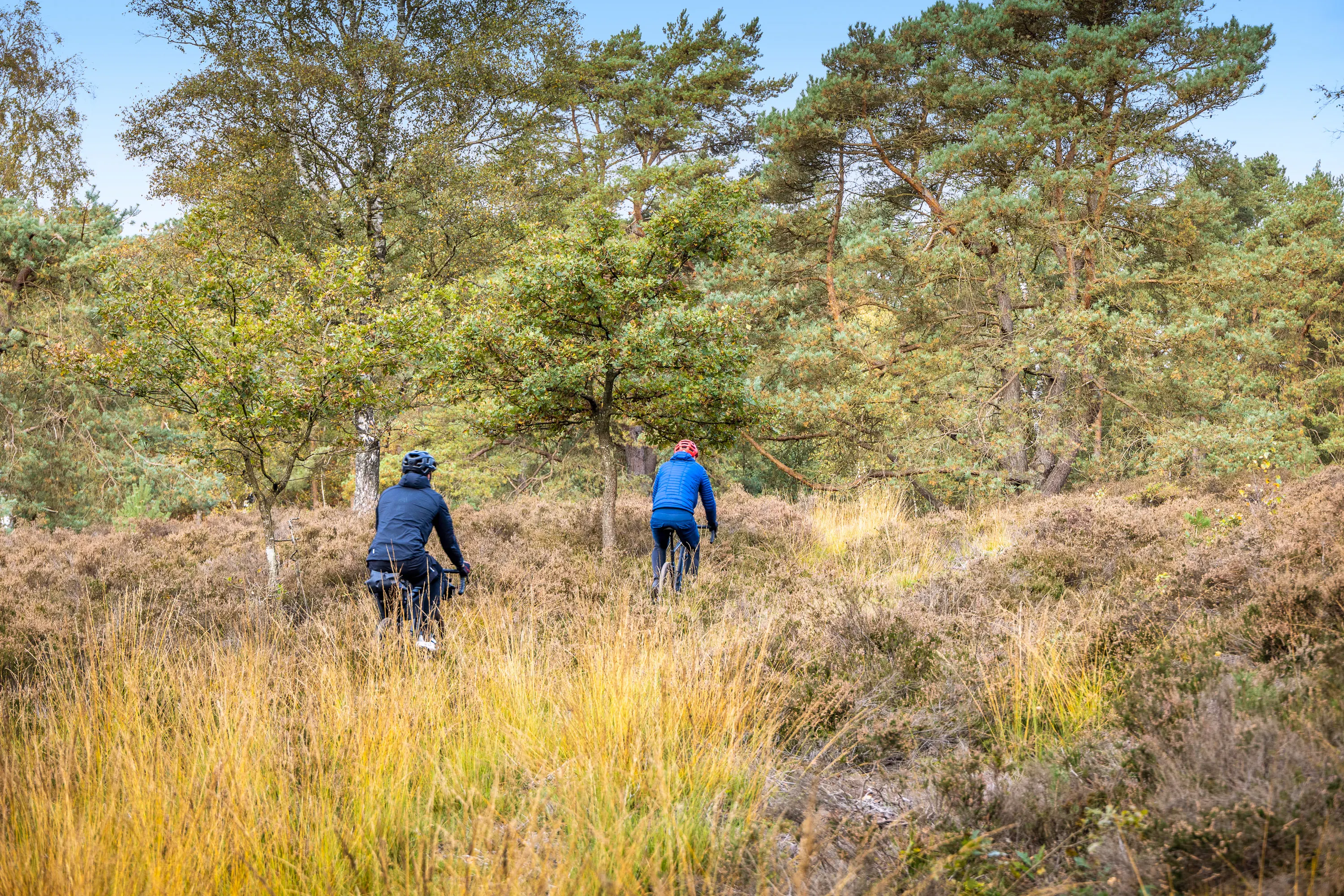 Twee gravelbikers op de heide