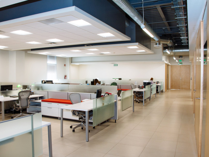 Modern office space with organized workstations, frosted glass partitions, and natural lighting.