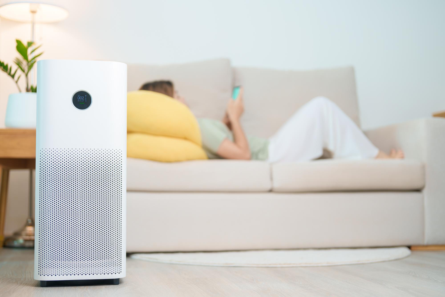 How To Improve Indoor Air Quality For Allergy Sufferers In Fair Oaks