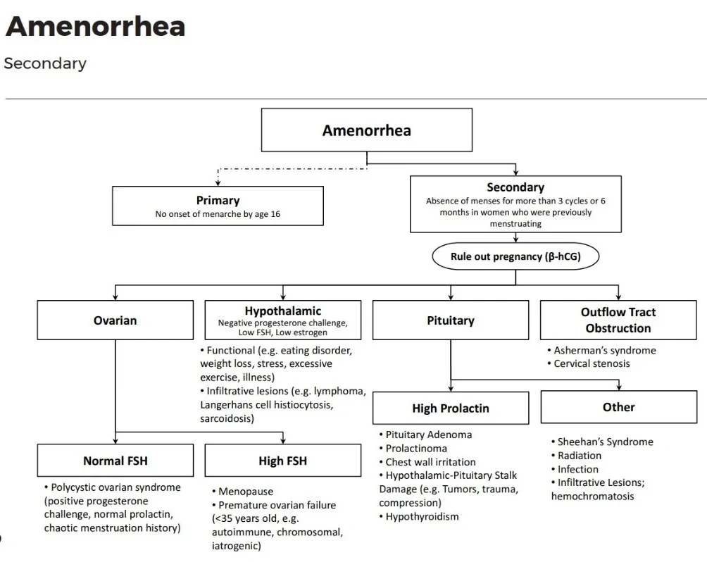 Diagnosi Amenorrea secondaria