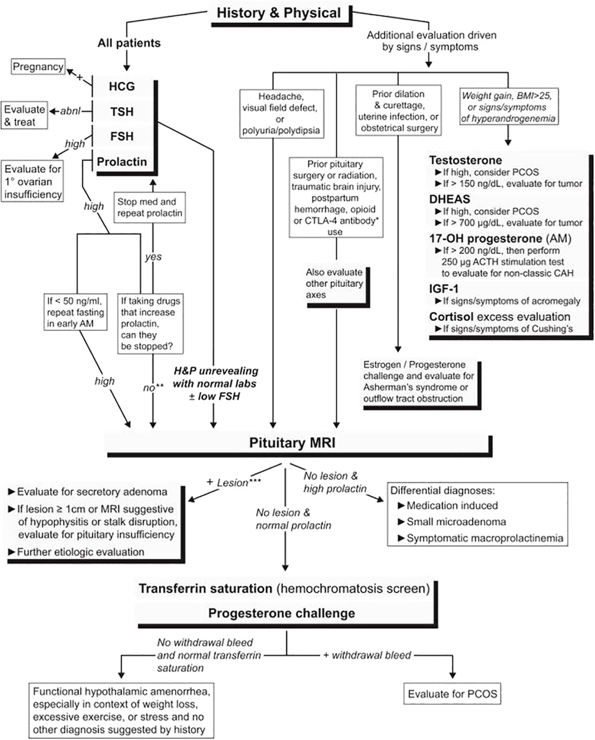 Algoritmo diagnostico amenorrea secondaria