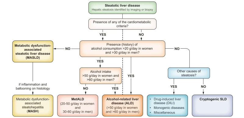 Algoritmo clinico per la Steatosi epatica NAFLD