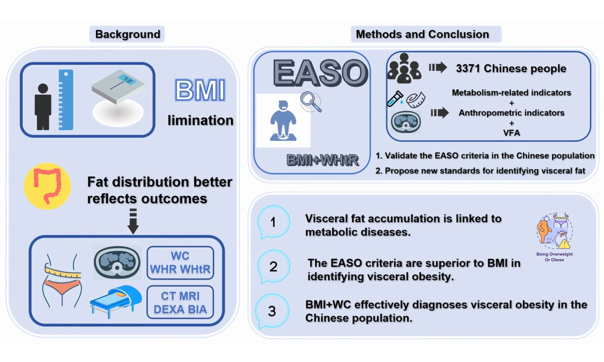 grasso viscerale e BMI