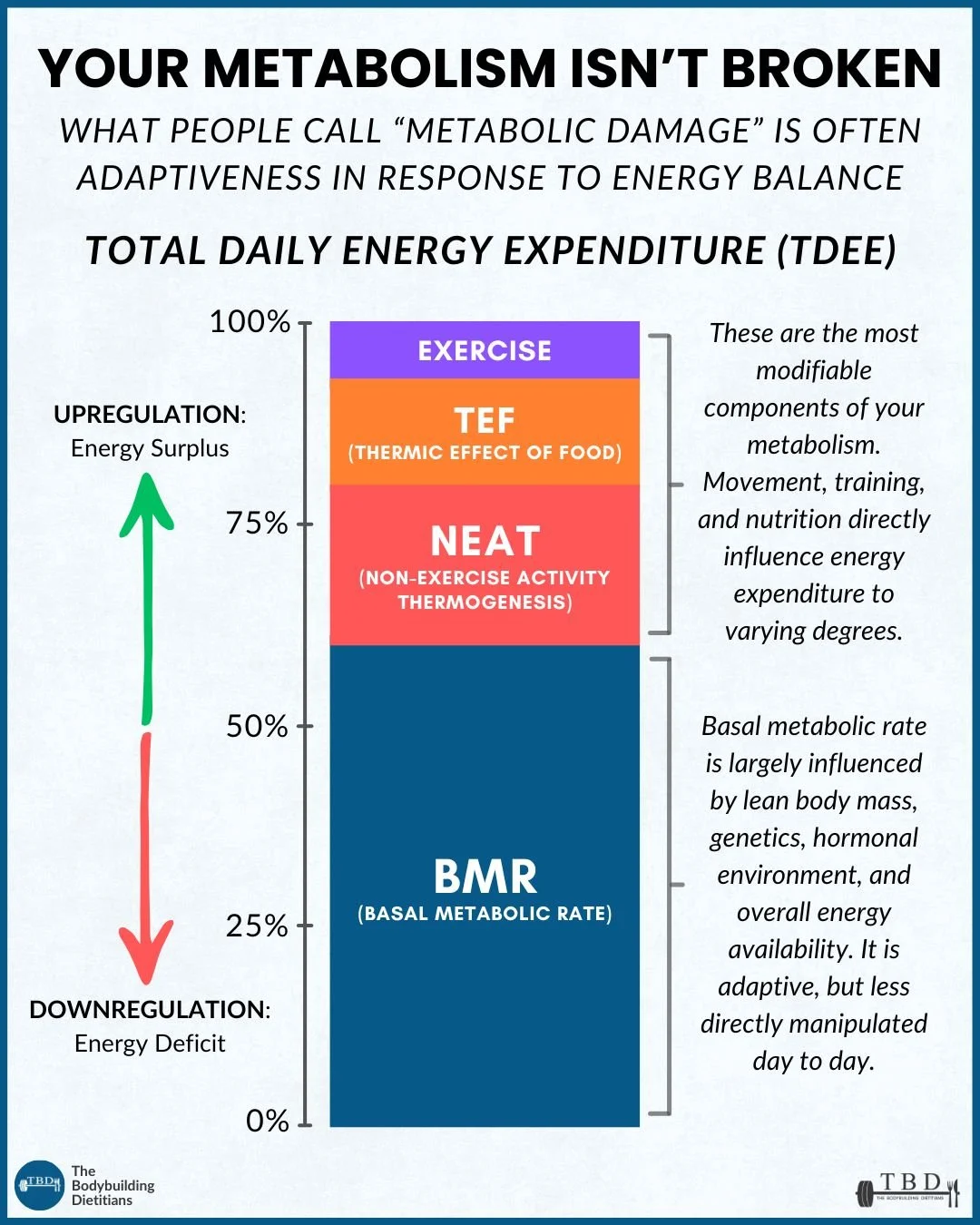 Bilancio energetico, NEAT, EAT, BMR