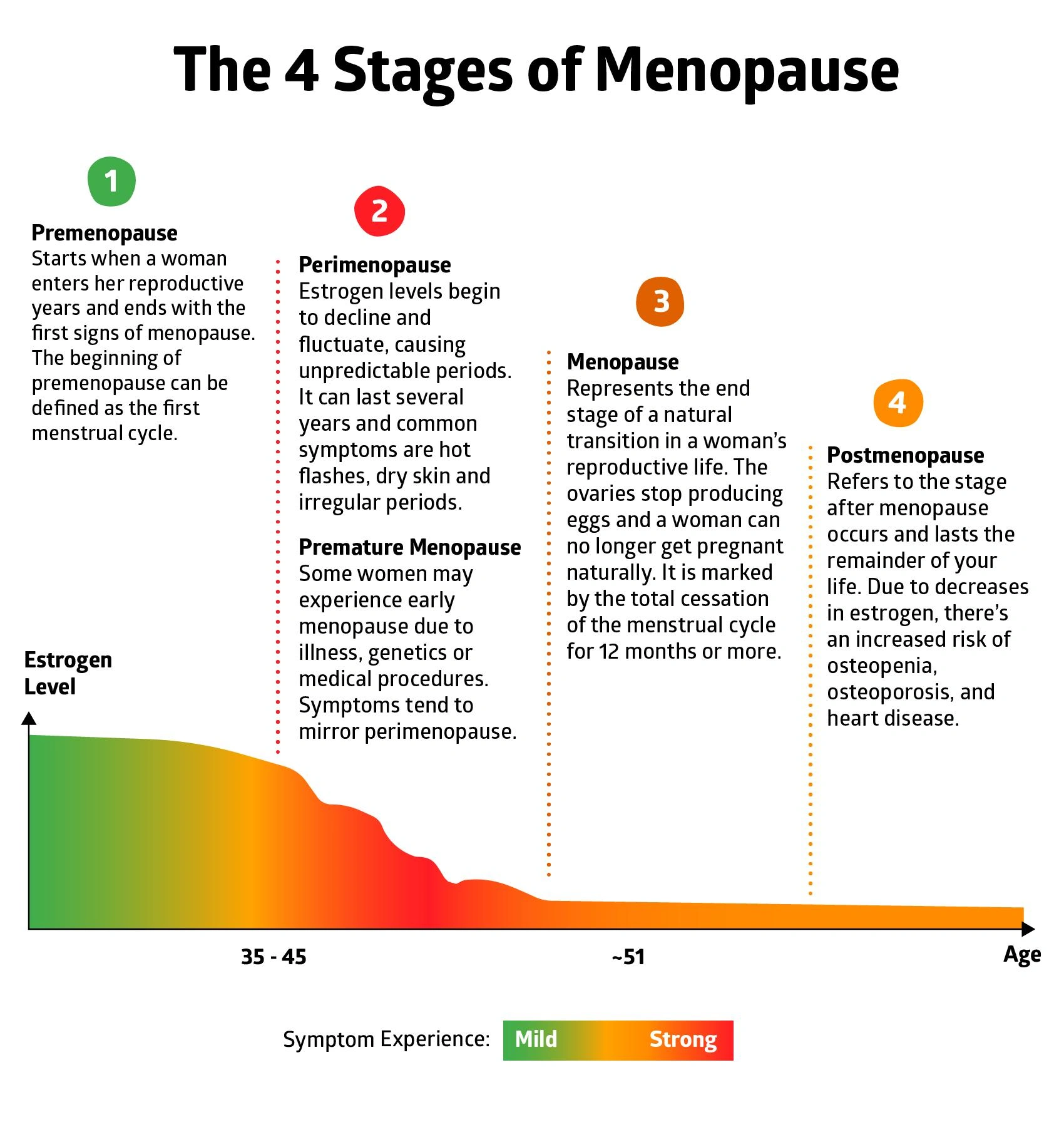 Le 4 fasi della menopausa