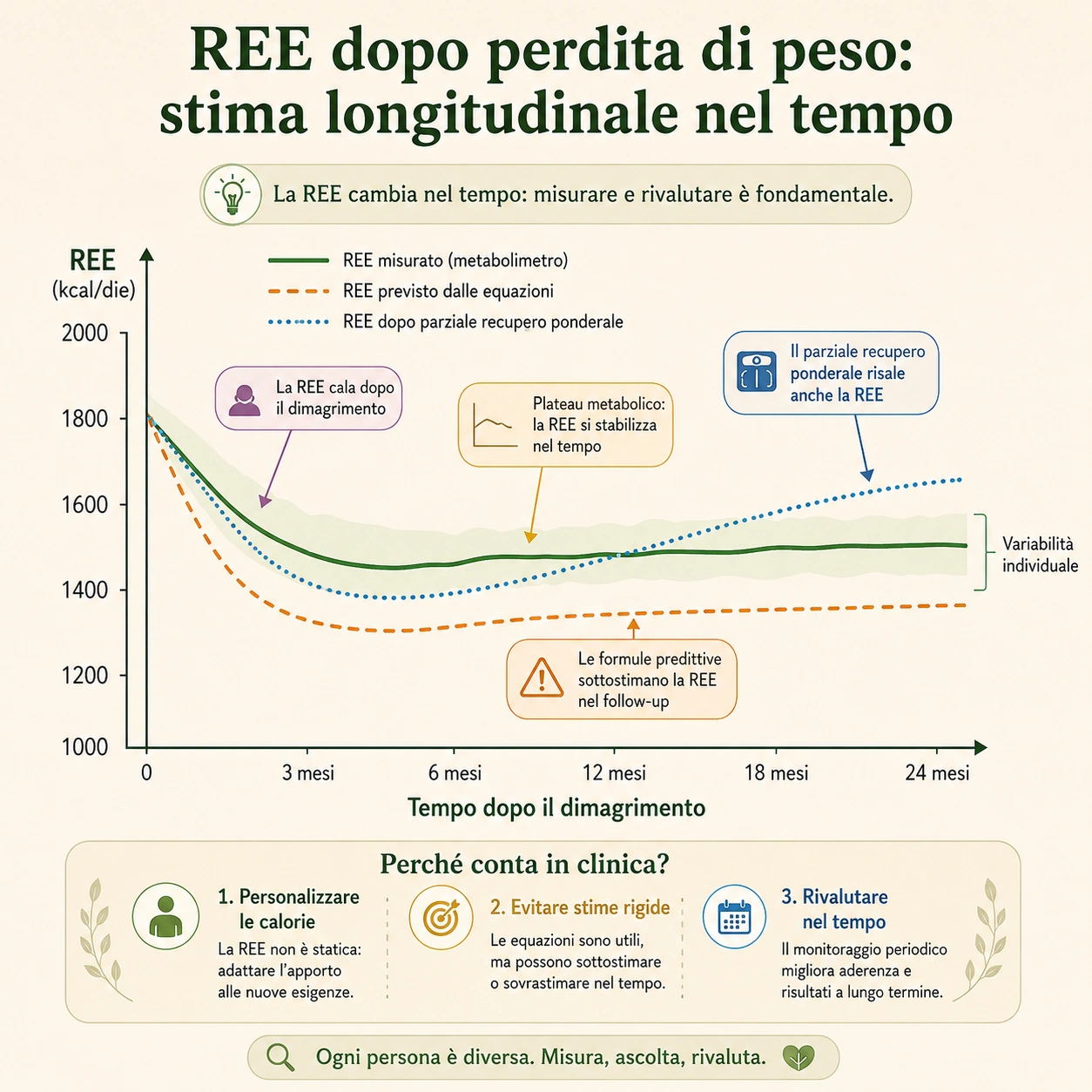 Termogenesi adattiva, modificazione del metabolismo basale