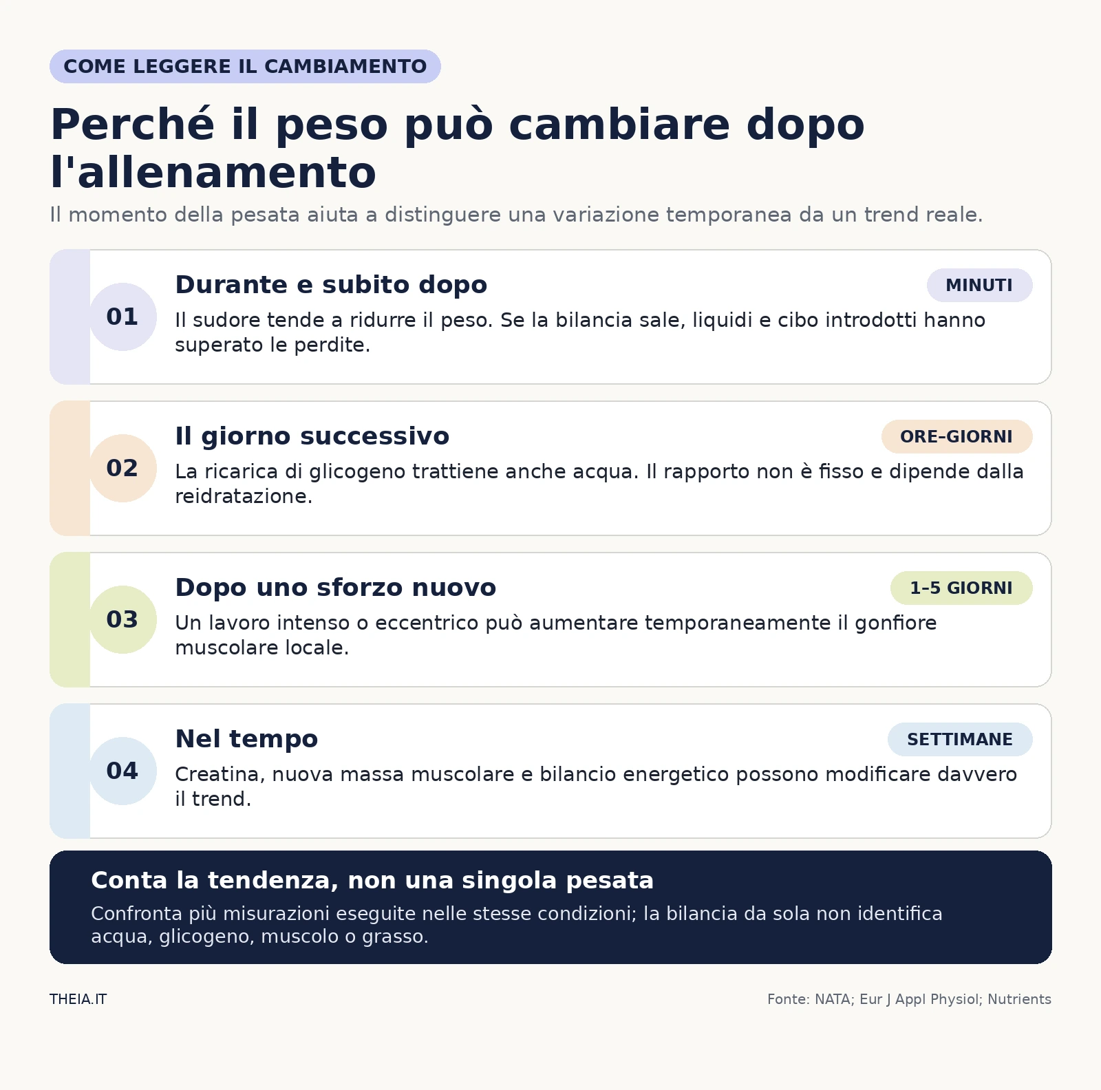 Quattro fasi temporali spiegano come liquidi, glicogeno, gonfiore muscolare e cambiamenti reali influenzano il peso dopo l’allenamento